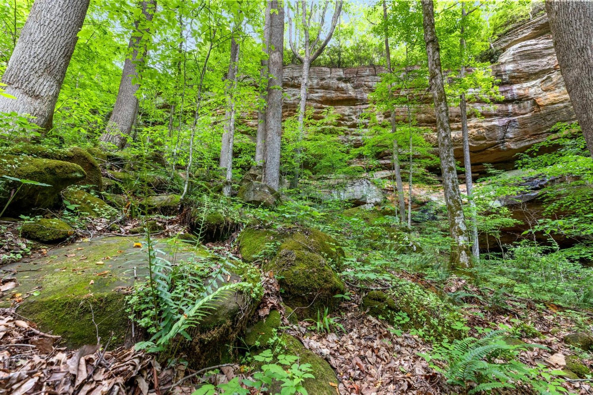 Beech Timber No Pet Fee Villa Beattyville Exterior photo