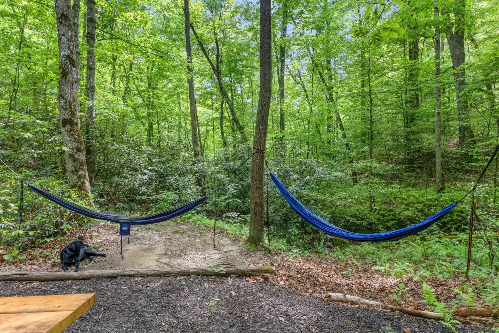 Beech Timber No Pet Fee Villa Beattyville Exterior photo