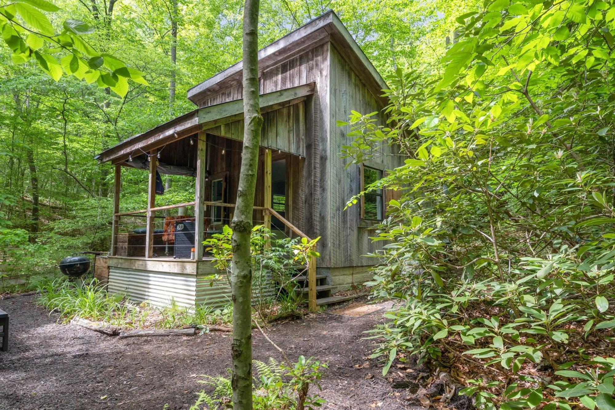 Beech Timber No Pet Fee Villa Beattyville Exterior photo